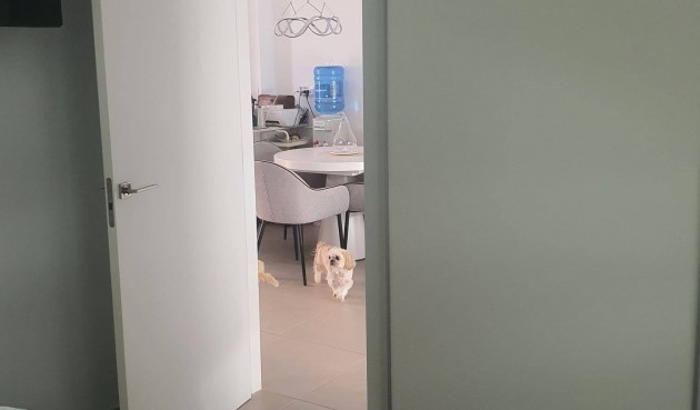 Återförsäljning - Villa -
San Pedro del Pinatar - Centro