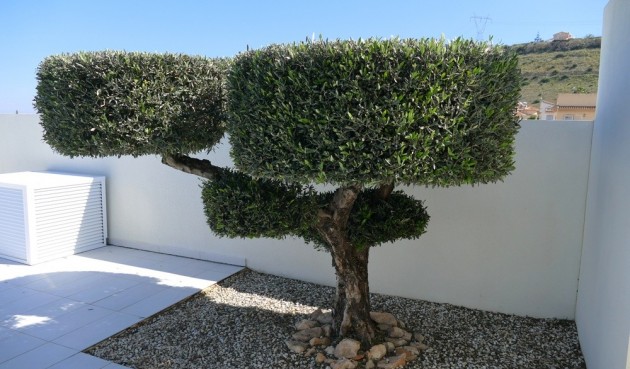 Återförsäljning - Villa -
Benijofar - Costa Blanca