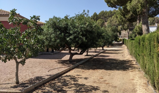 Återförsäljning - Villa -
Murcia - Inland