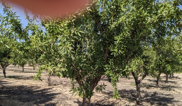 Återförsäljning - Villa -
Murcia - Inland