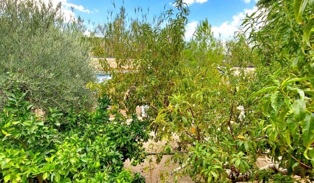 Återförsäljning - Villa -
Murcia - Inland