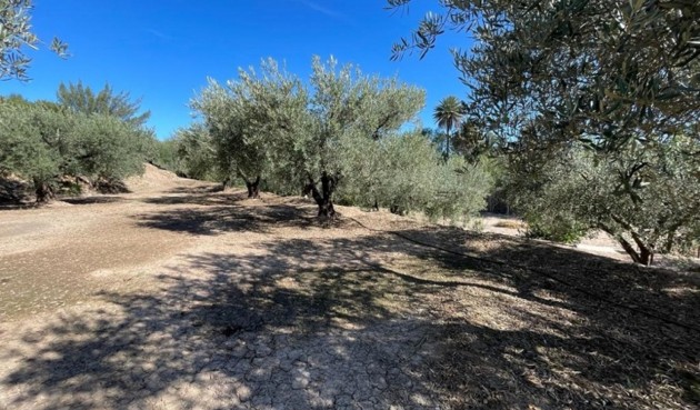 Återförsäljning - Villa -
Murcia - Inland