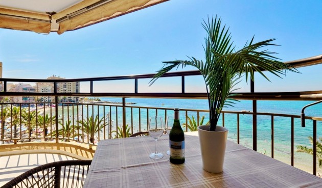 Återförsäljning - Apartment -
Torrevieja - Estacion De Autobuses