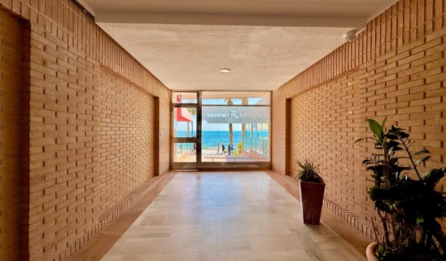 Återförsäljning - Apartment -
Torrevieja - Estacion De Autobuses