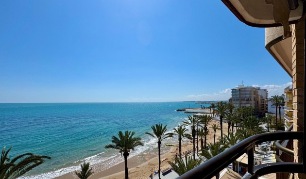 Återförsäljning - Apartment -
Torrevieja - Estacion De Autobuses