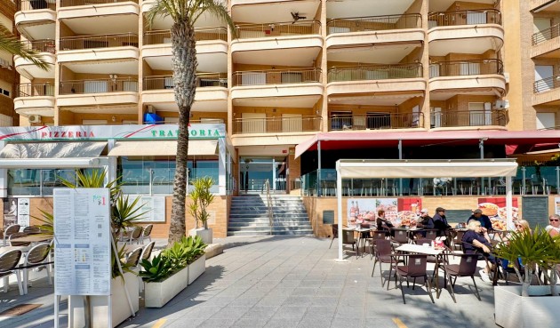 Återförsäljning - Apartment -
Torrevieja - Estacion De Autobuses