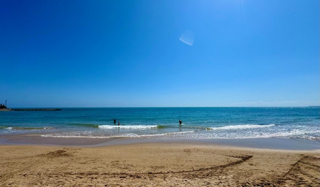 Återförsäljning - Apartment -
Torrevieja - Estacion De Autobuses