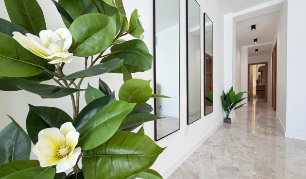 Återförsäljning - Takvåning -
Torrevieja - Estacion De Autobuses