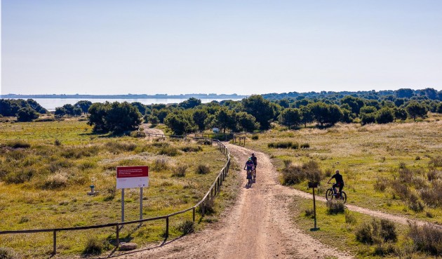 Resale - Apartment -
Torrevieja - Centro - Muelle Pesquero