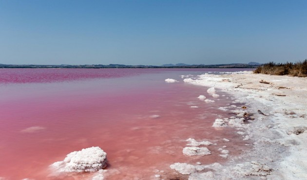 Resale - Apartment -
Torrevieja - Centro - Muelle Pesquero