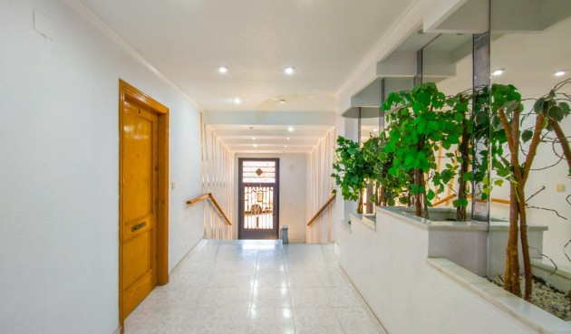 Återförsäljning - Apartment -
Torrevieja - Estacion De Autobuses