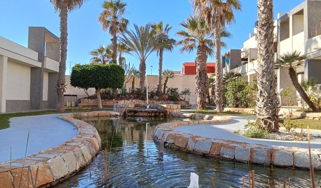 Återförsäljning - Takvåning -
Torrevieja - Playa De La Mata