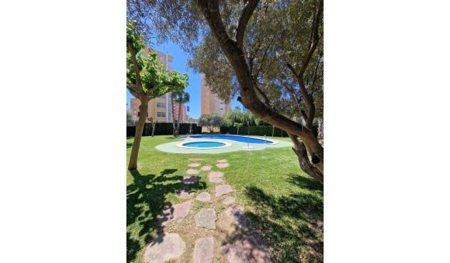 Återförsäljning - Apartment -
Guardamar del Segura - Costa Blanca