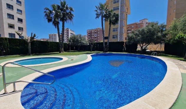 Återförsäljning - Apartment -
Guardamar del Segura - Costa Blanca
