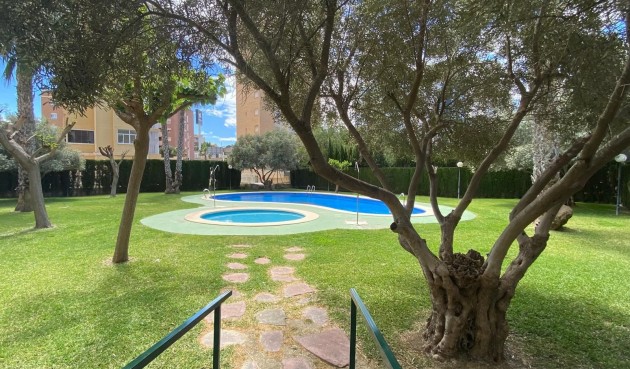 Återförsäljning - Apartment -
Guardamar del Segura - Costa Blanca