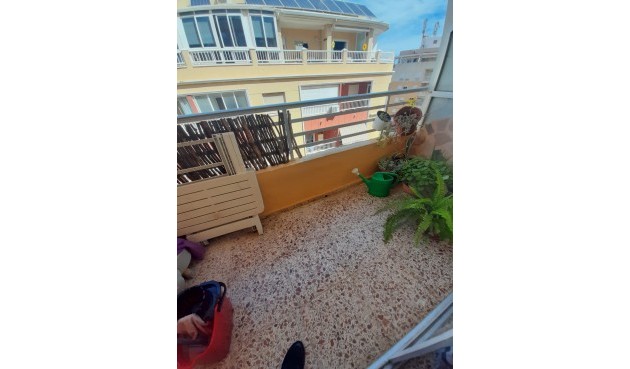 Återförsäljning - Apartment -
Torrevieja - Costa Blanca