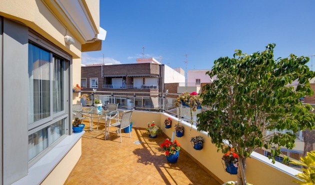 Återförsäljning - Takvåning -
Torrevieja - Centro