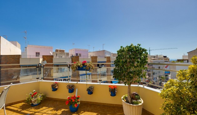 Återförsäljning - Takvåning -
Torrevieja - Centro