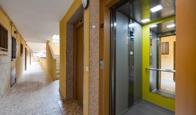 Återförsäljning - Apartment -
Torrevieja - Cabo Cervera