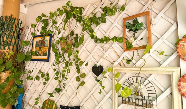 Återförsäljning - Apartment -
Torrevieja - Costa Blanca