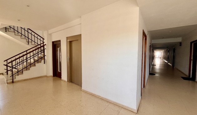 Återförsäljning - Apartment -
La Zenia - Costa Blanca