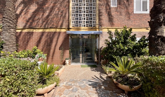 Återförsäljning - Apartment -
La Zenia - Costa Blanca