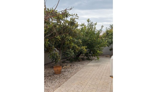 Återförsäljning - Villa -
Playa Flamenca - Costa Blanca