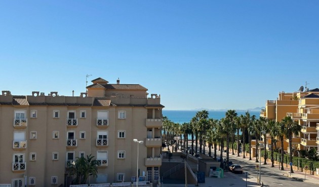Återförsäljning - Apartment -
Orihuela Costa - Campoamor
