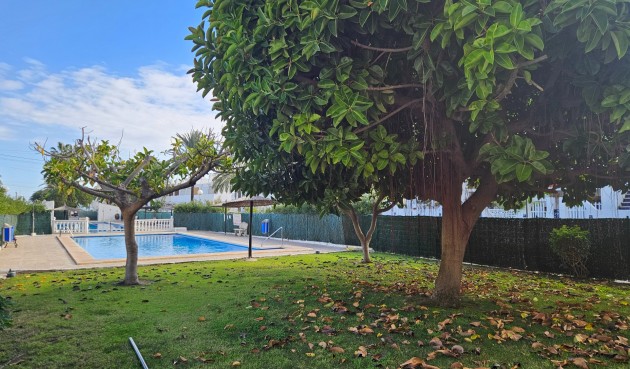 Återförsäljning - Apartment -
Torrevieja - Costa Blanca