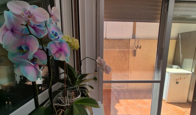 Återförsäljning - Town House -
Torrevieja - Costa Blanca