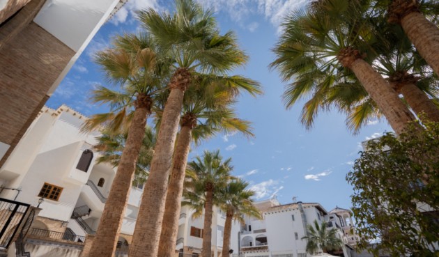 Återförsäljning - Apartment -
Orihuela - Inland