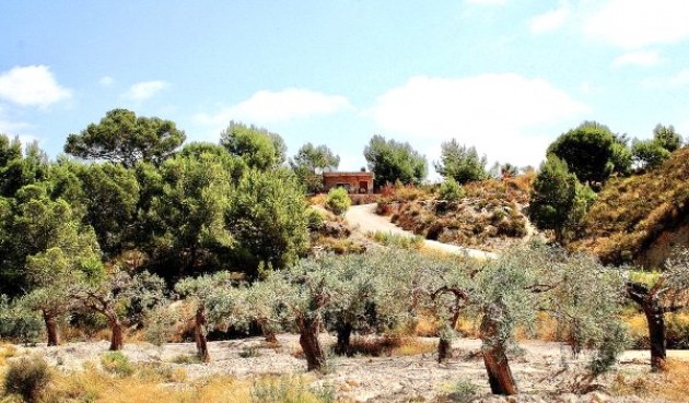 Återförsäljning - Villa -
Murcia - Inland