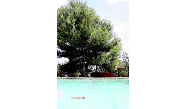 Återförsäljning - Villa -
Murcia - Inland