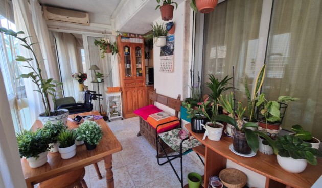 Återförsäljning - Apartment -
Torrevieja - Costa Blanca