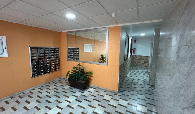 Resale - Apartment -
Torrevieja - Costa Blanca