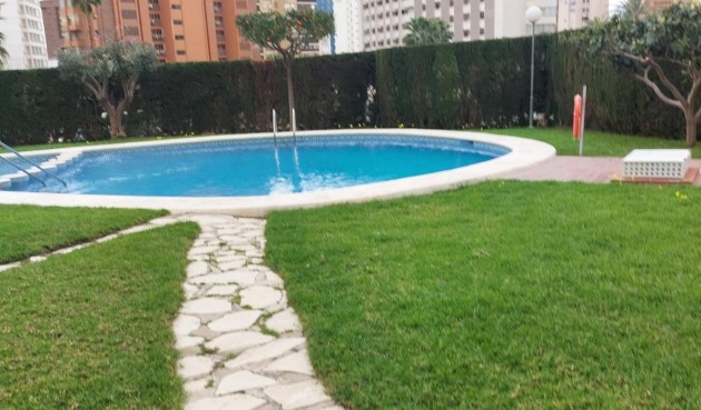 Resale - Apartment -
Benidorm - Levante