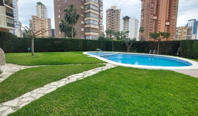 Resale - Apartment -
Benidorm - Levante