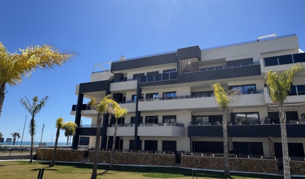 Resale - Apartment -
Playa Flamenca - Costa Blanca