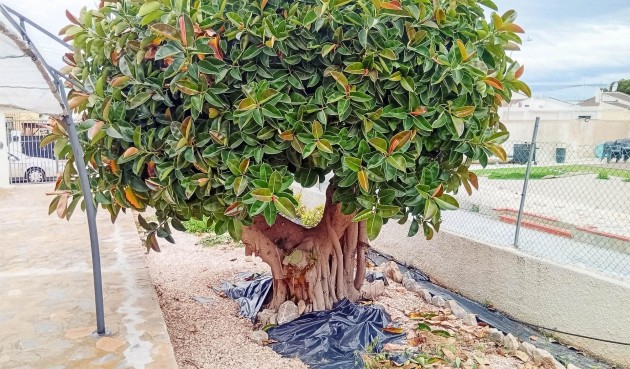 Resale - Villa -
Torrevieja - La Siesta