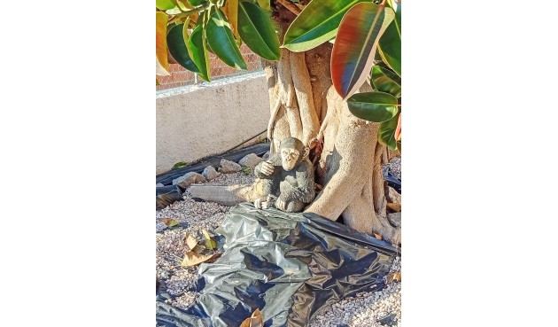 Resale - Villa -
Torrevieja - La Siesta