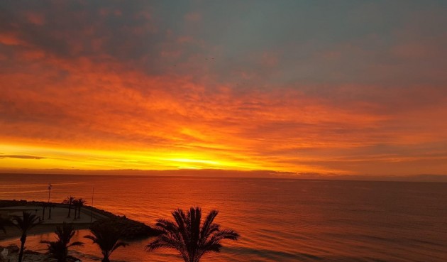 Resale - Apartment -
Torrevieja - Las Piscinas Naturales