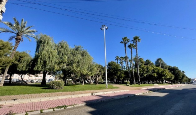 Återförsäljning - Apartment -
Torrevieja - Costa Blanca