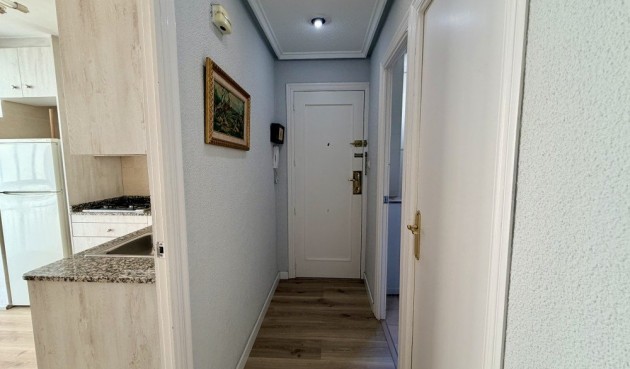 Reventa - Apartment -
Elche - Costa Blanca