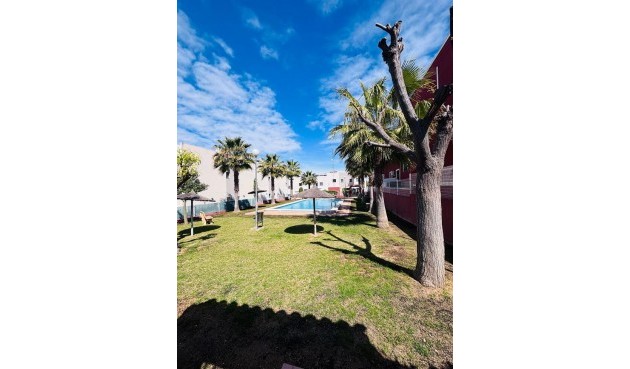 Brukt - Apartment -
Torrevieja - Costa Blanca