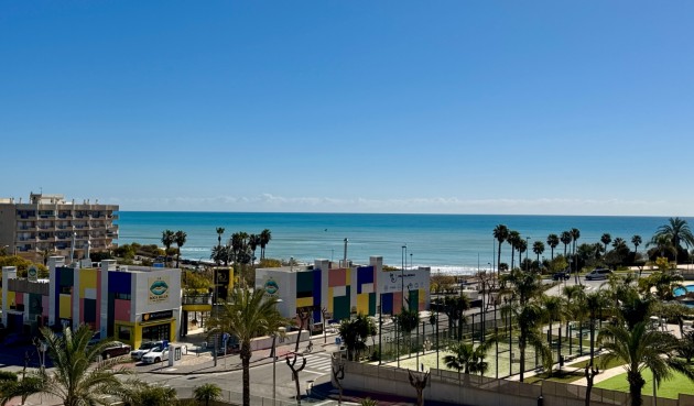 Resale - Apartment -
Pilar de la Horadada - Costa Blanca