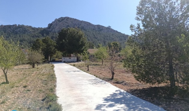 Resale - Villa -
Abanilla