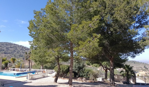 Resale - Villa -
Abanilla