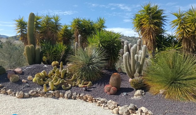 Resale - Villa -
Abanilla