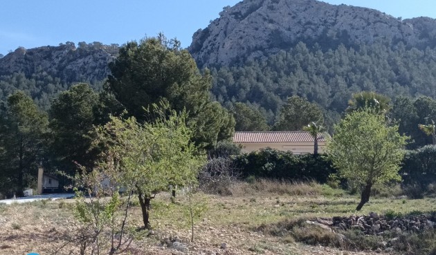 Resale - Villa -
Abanilla