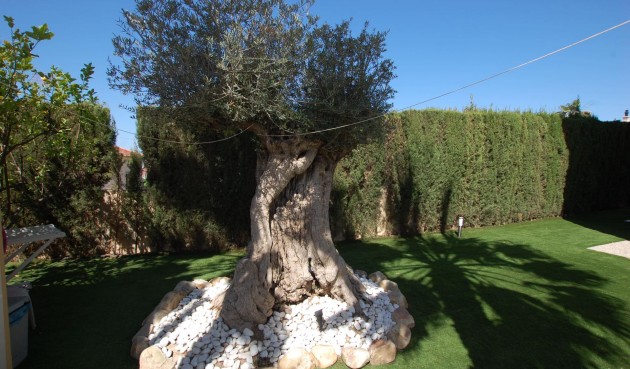 Brukt - Villa -
Ciudad Quesada - Costa Blanca